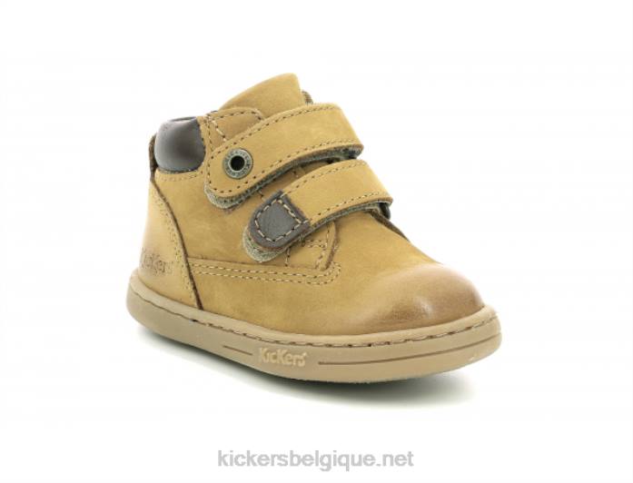 chameau collant enfants KickersDT22823