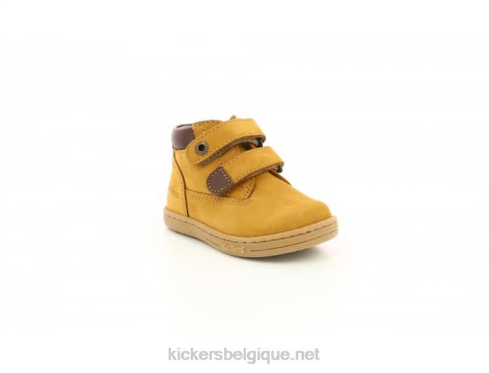 chameau collant enfants KickersDT22845