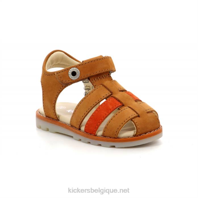 chameau orange nonosti enfants KickersDT22619