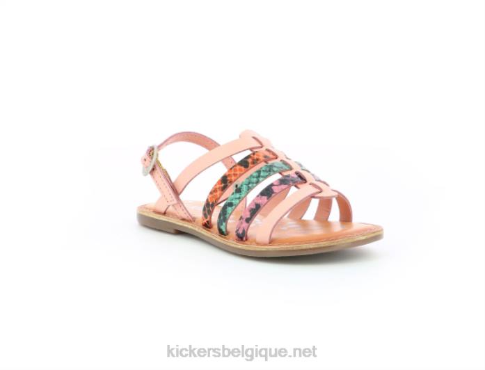 dixon rose reptile tricolore enfants KickersDT22757