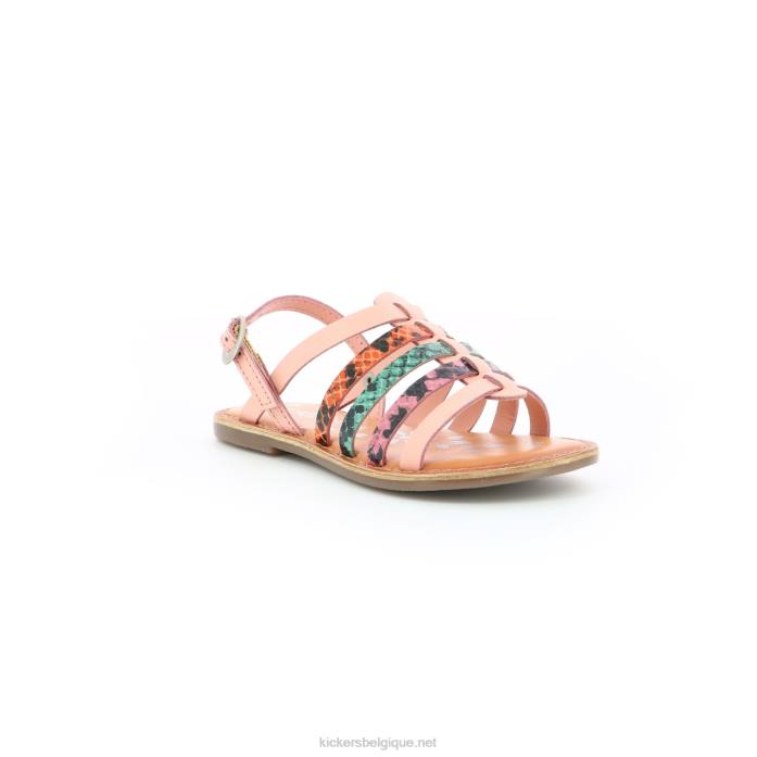 dixon rose reptile tricolore enfants KickersDT22757