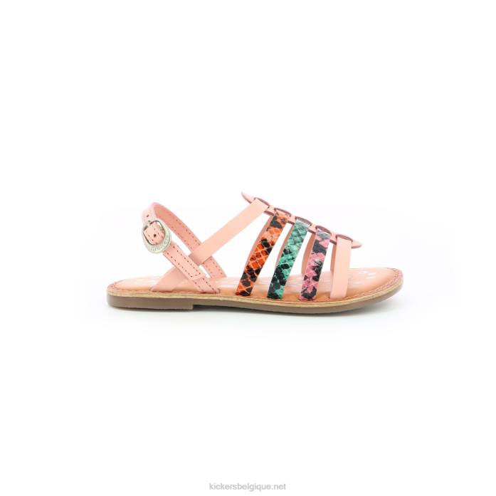 dixon rose reptile tricolore enfants KickersDT22757