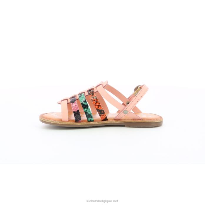 dixon rose reptile tricolore enfants KickersDT22757