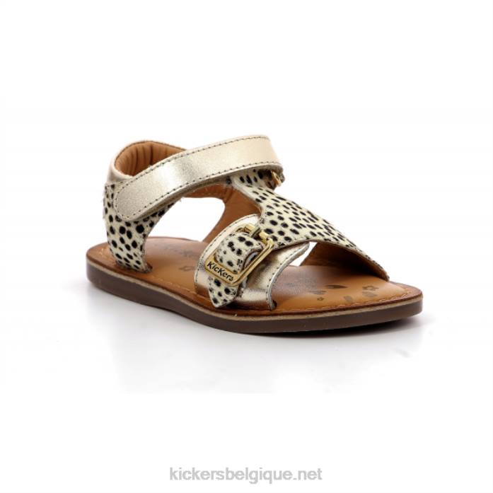 poney d'or diazz enfants KickersDT22579